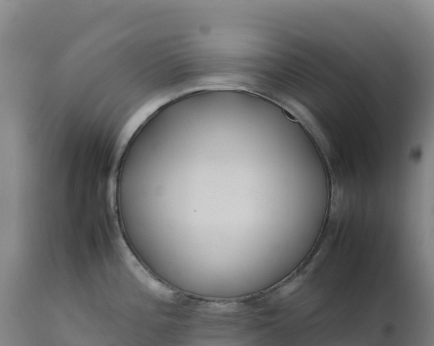 X0000112401196200908281742