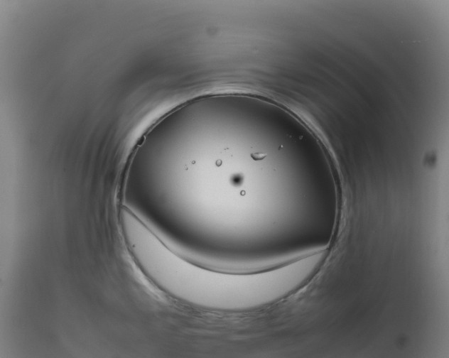 X0000112401197200908281742