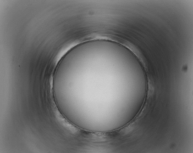 X0000112401198200908281742