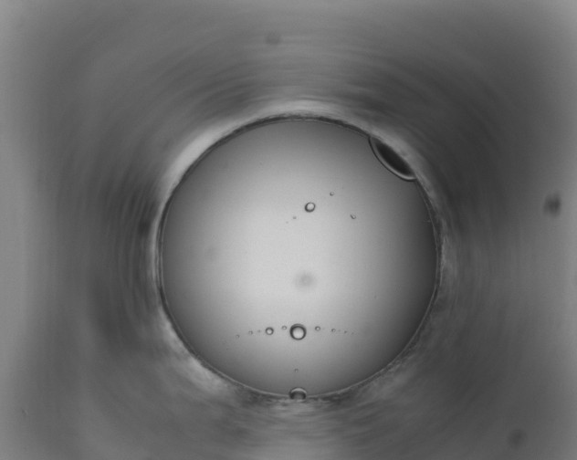 X0000112401199200908281742