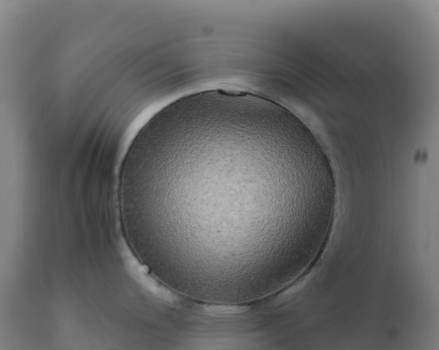 X0000112401200200908281742
