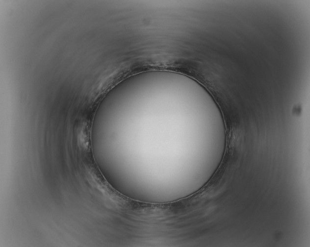 X0000112401202200908281742