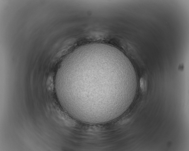 X0000112401203200908281742