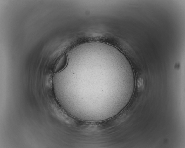 X0000112401204200908281742