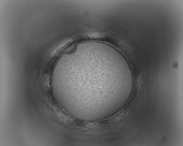 X0000112401205200908281742