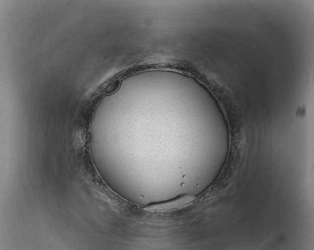 X0000112401206200908281742