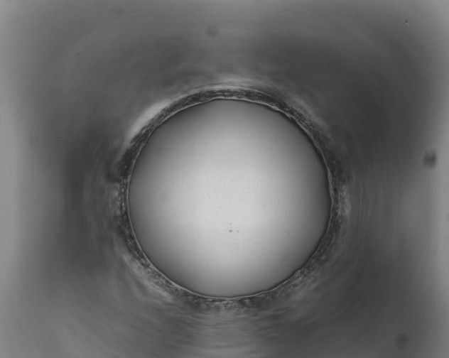 X0000112401208200908281742