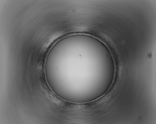 X0000112401210200908281742