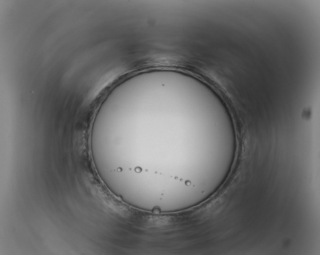 X0000112401211200908281742