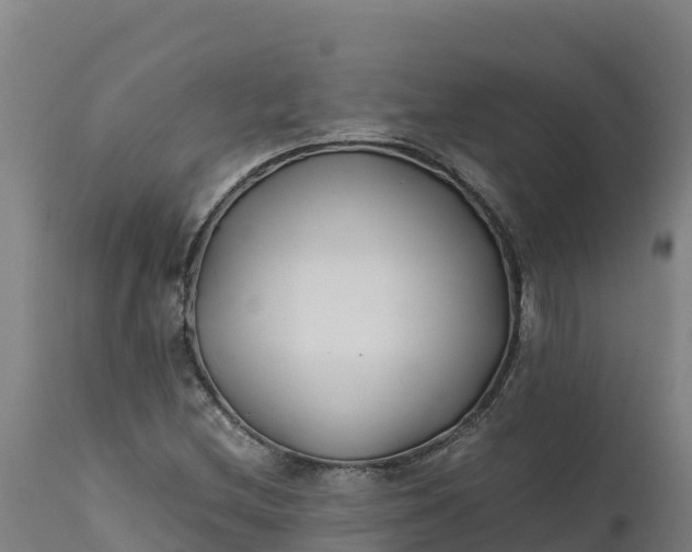 X0000112401212200908281742