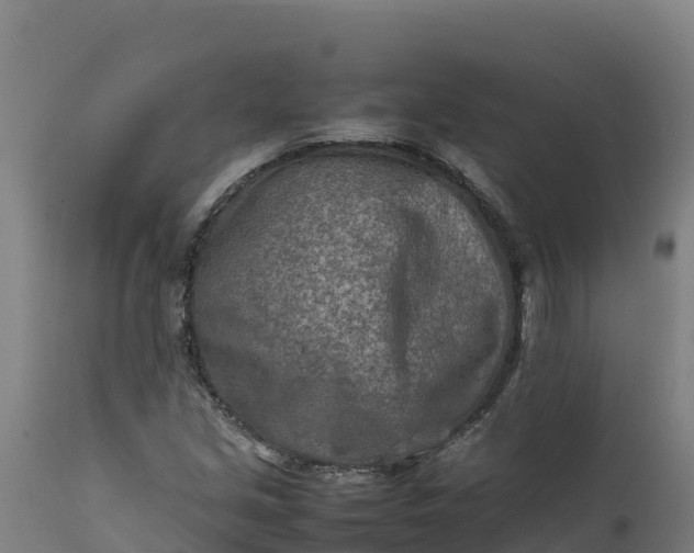 X0000112401213200908281742