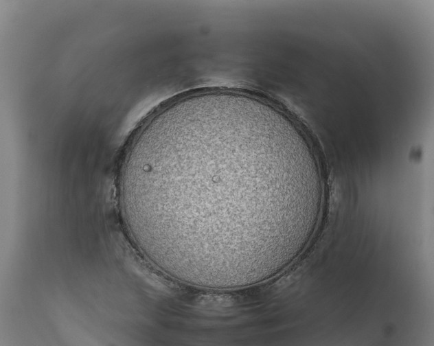 X0000112401215200908281742