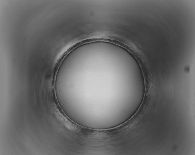 X0000112401216200908281742
