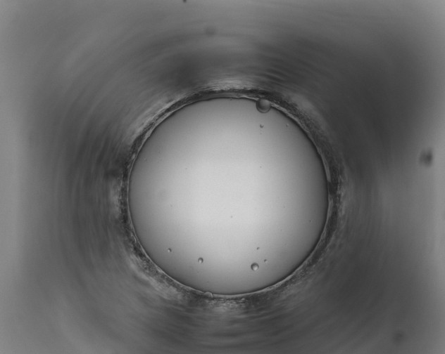 X0000112401217200908281742