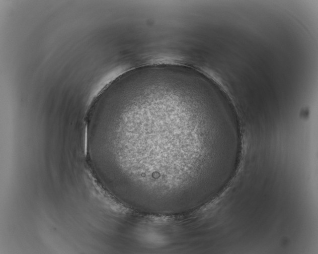 X0000112401219200908281742