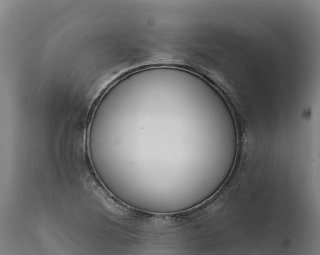 X0000112401220200908281742