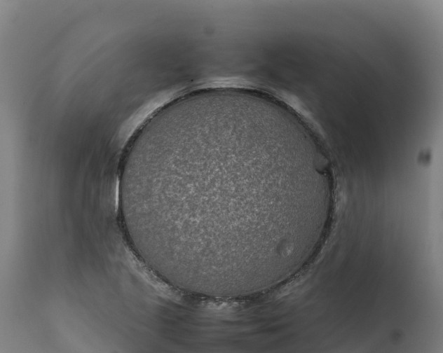 X0000112401221200908281742