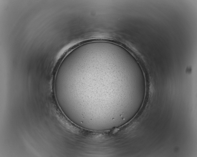 X0000112401222200908281742