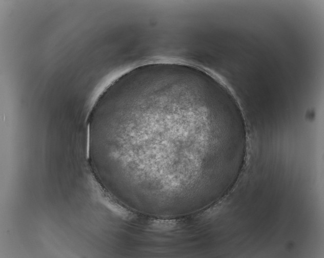 X0000112401223200908281742