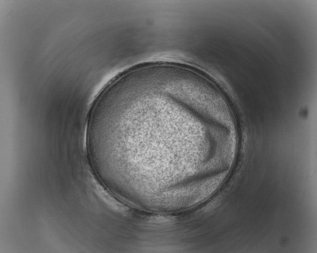 X0000112401224200908281742