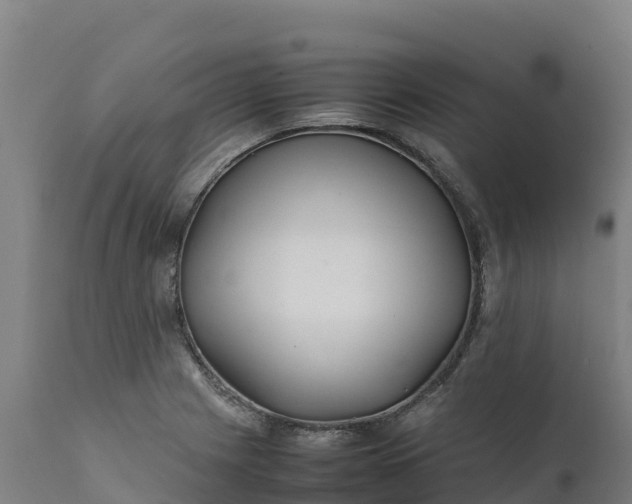 X0000112401225200908281742