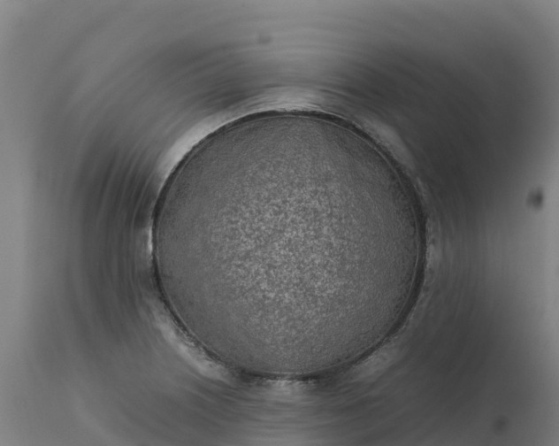 X0000112401226200908281742