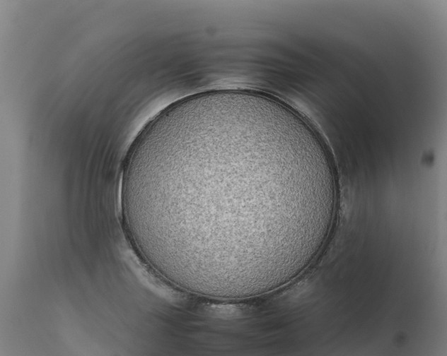 X0000112401227200908281742