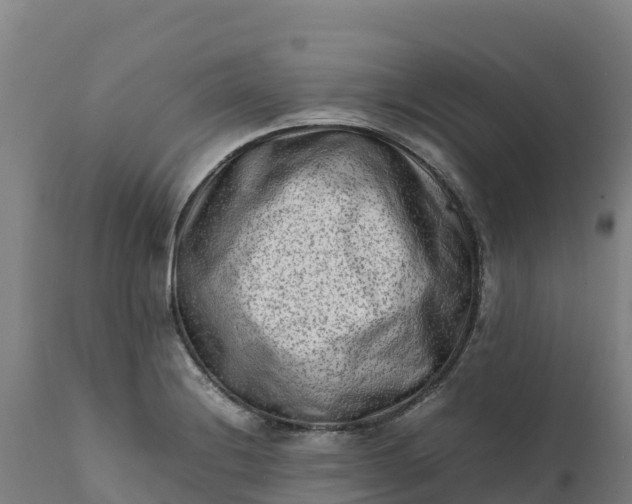 X0000112401228200908281742