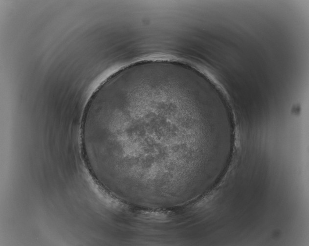 X0000112401229200908281742