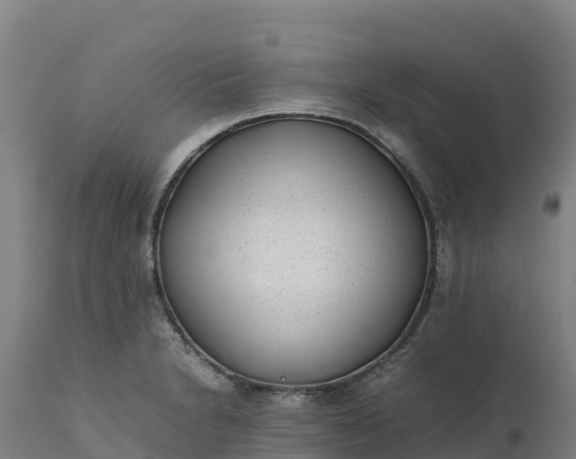 X0000112401230200908281742