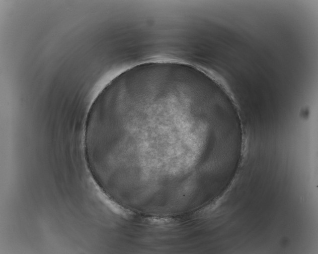 X0000112401231200908281742