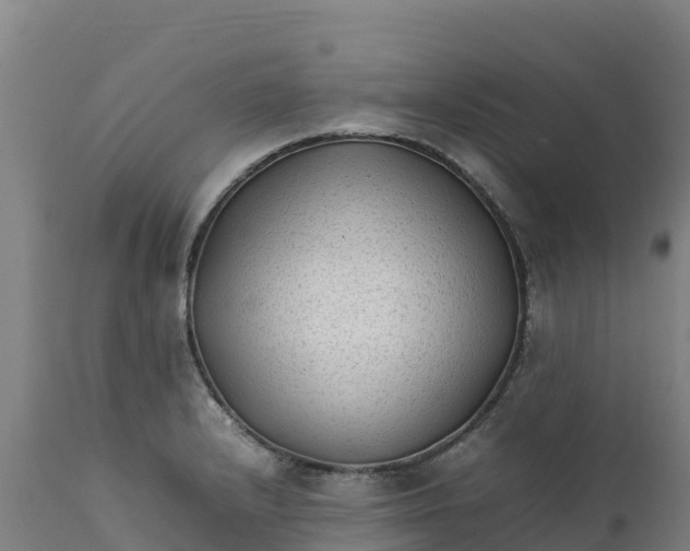 X0000112401232200908281742