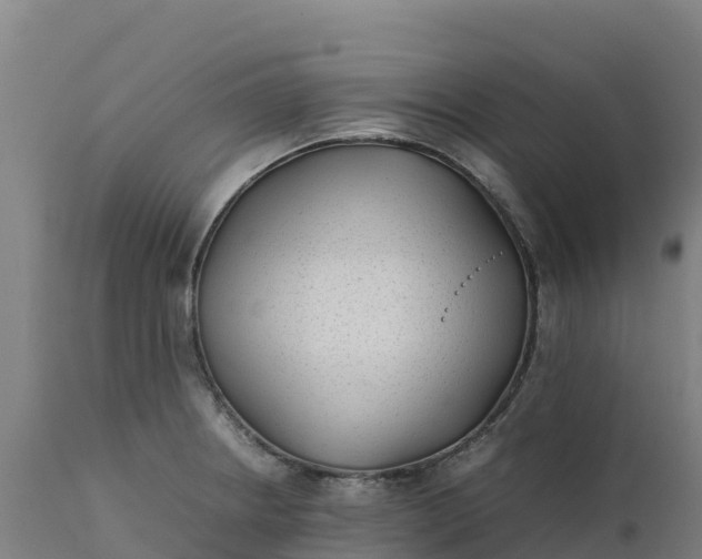 X0000112401234200908281742