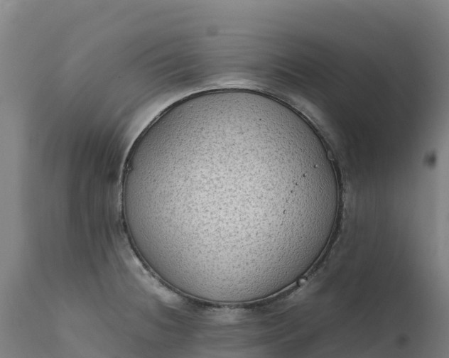 X0000112401236200908281742