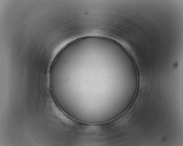 X0000112401238200908281742