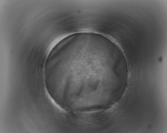 X0000112401239200908281742