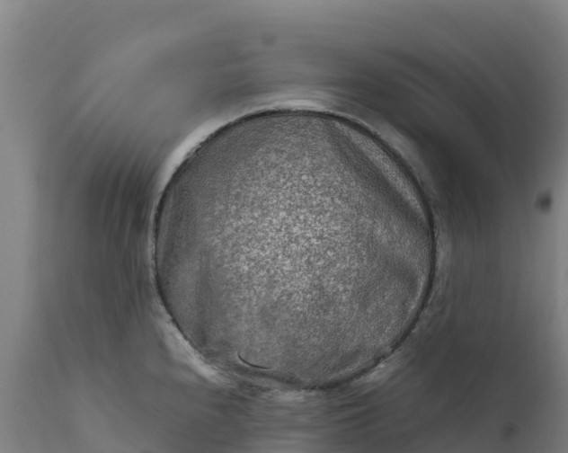 X0000112401240200908281742