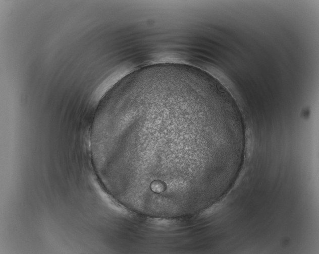 X0000112401241200908281742