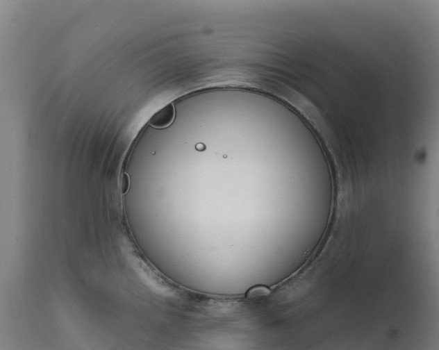 X0000112401242200908281742