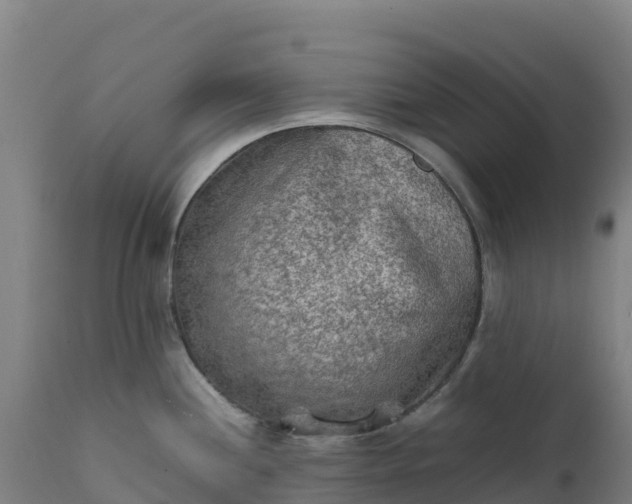 X0000112401244200908281742