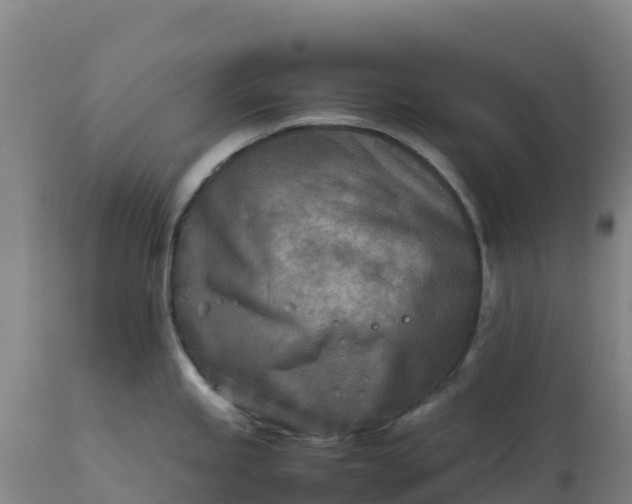 X0000112401245200908281742
