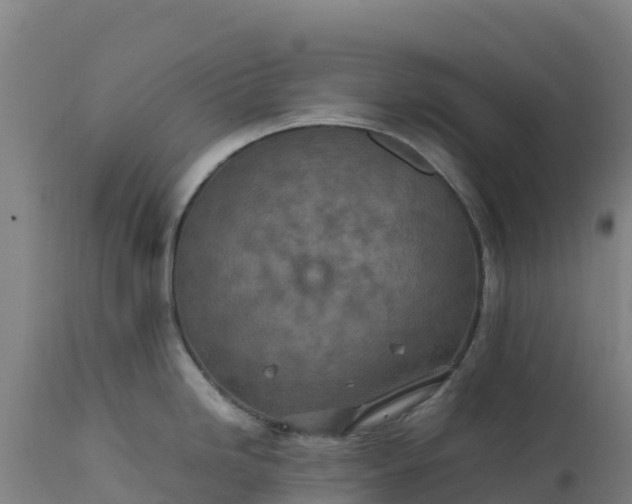 X0000112401246200908281742