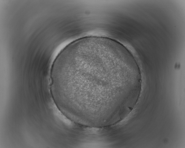 X0000112401248200908281742