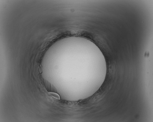 X0000112401249200908281742