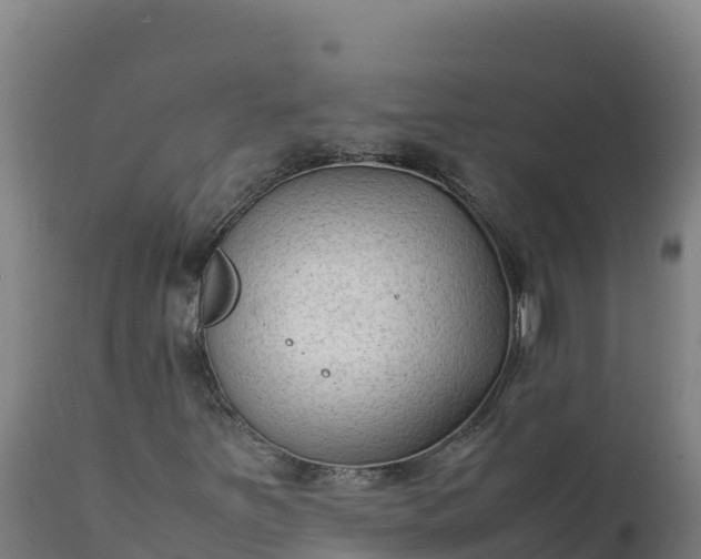 X0000112401251200908281741
