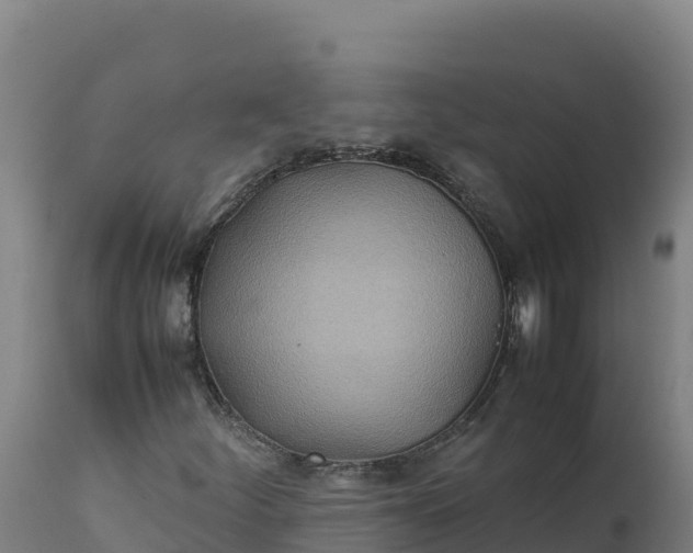 X0000112401252200908281741