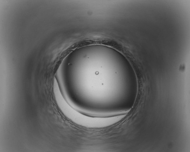 X0000112401253200908281741