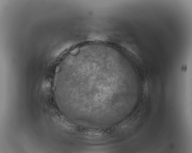 X0000112401254200908281741
