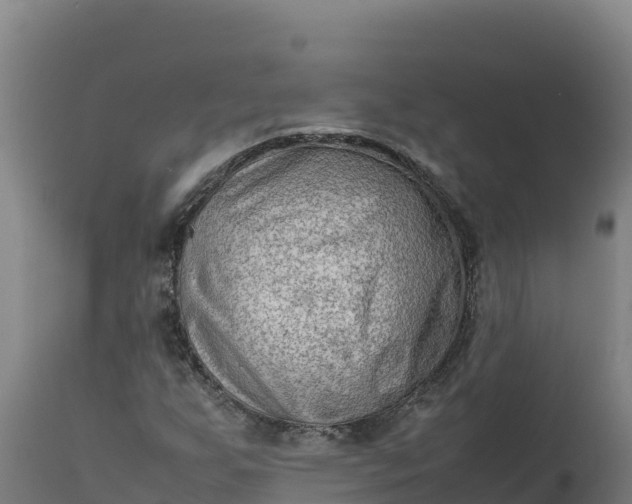 X0000112401255200908281741