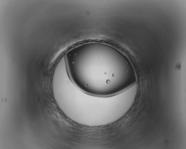 X0000112401256200908281741